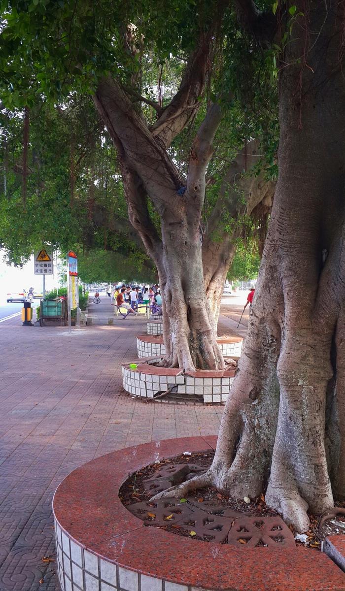 2014-10-21 13.39.46.jpg