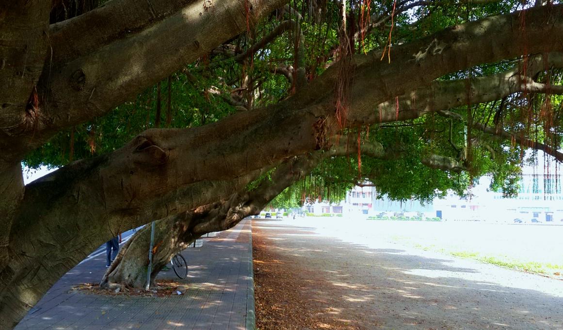 2014-10-21 13.40.32.jpg