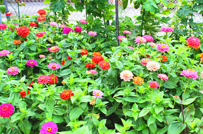 001 (3)_����_����_����_����_����_����.jpg