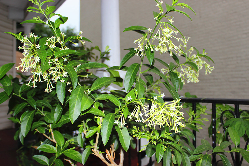 016 (2)_����.jpg