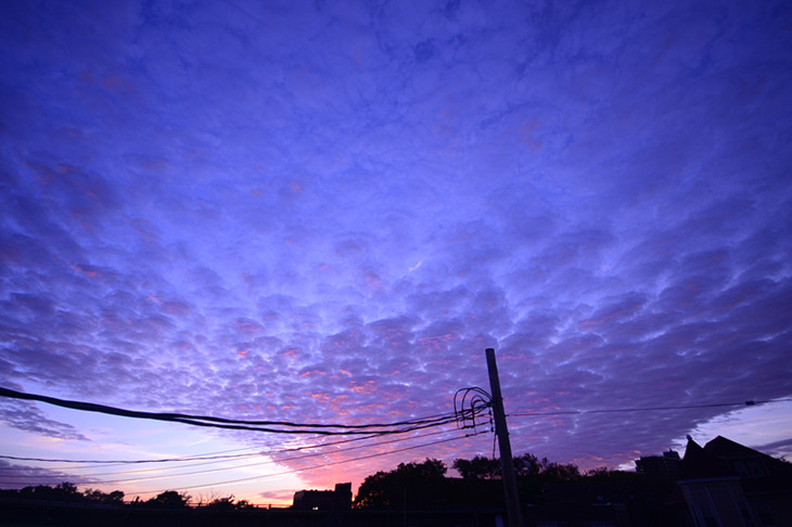 DSC_4928_.jpg