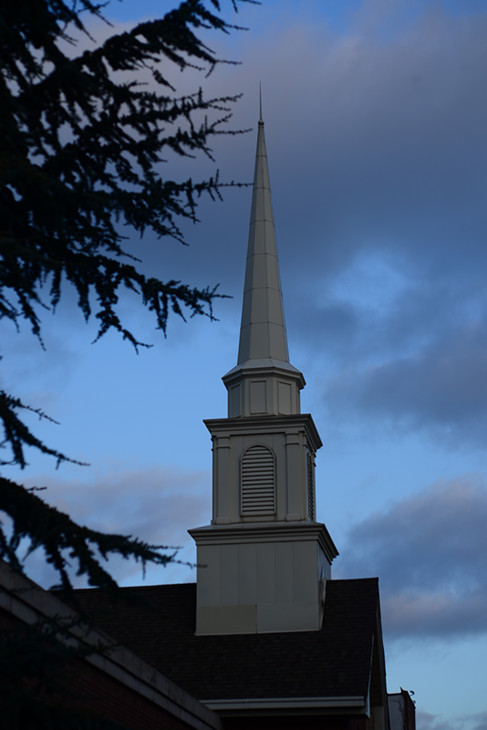 DSC_4596_.jpg