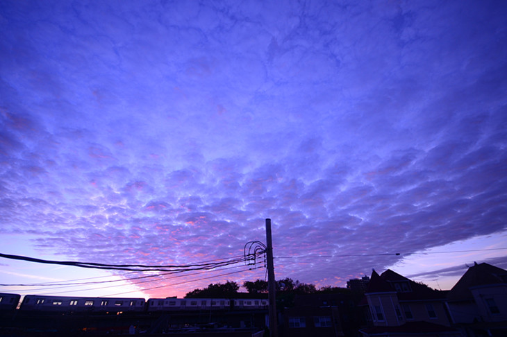 DSC_4920_.jpg