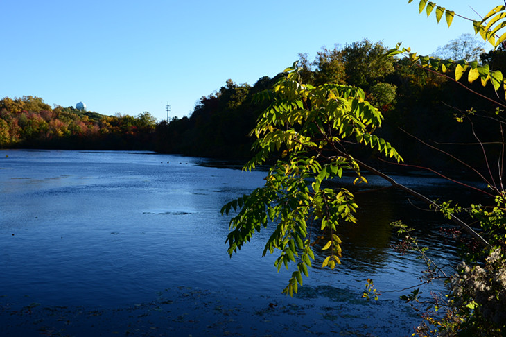 DSC_5264_.jpg