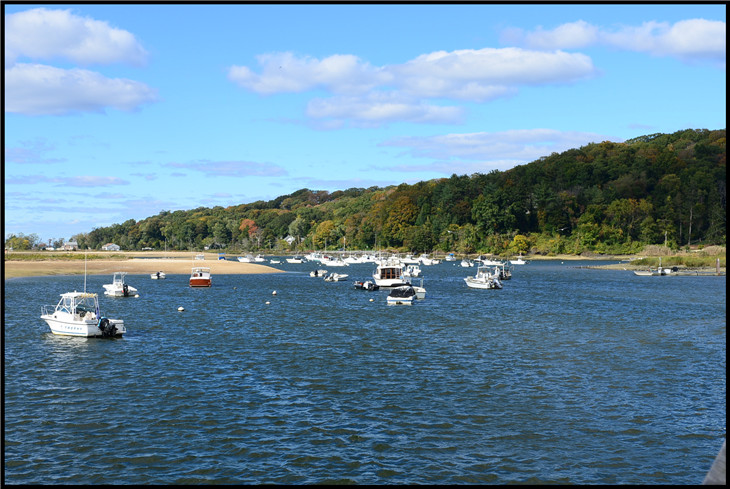 DSC_5229.jpg