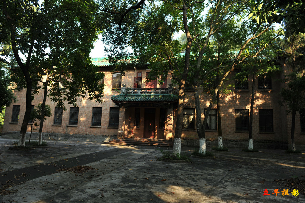 DSC_6960.jpg