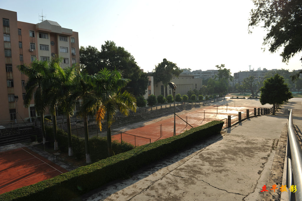 DSC_6976.jpg