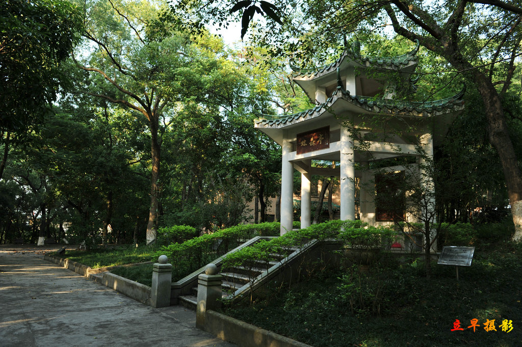 DSC_6980.jpg