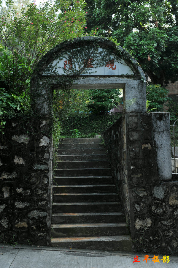 DSC_6993.jpg