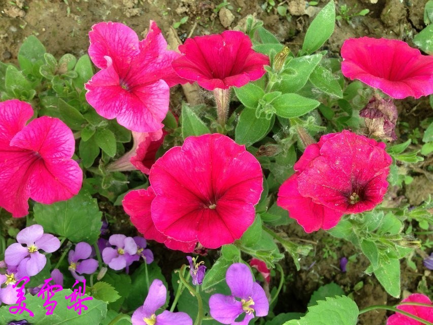 DSC_0577_conew1.jpg