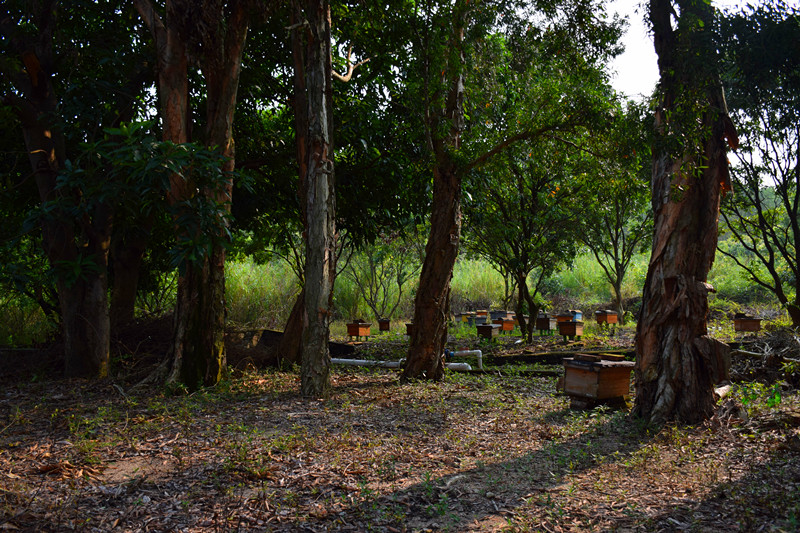 DSC_0071_,L.jpg