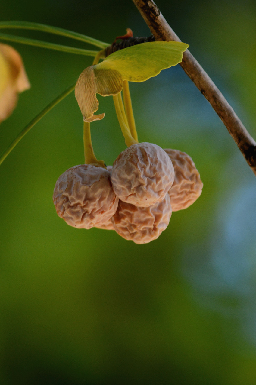 DSC_6769_20.jpg
