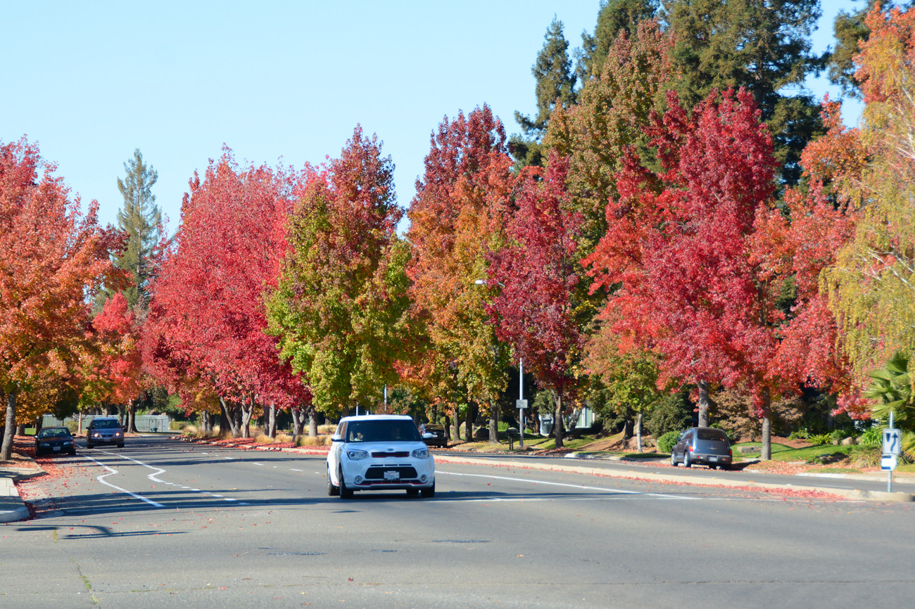 DSC_8760_31.jpg