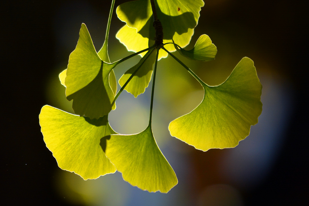 DSC_6865_33.jpg