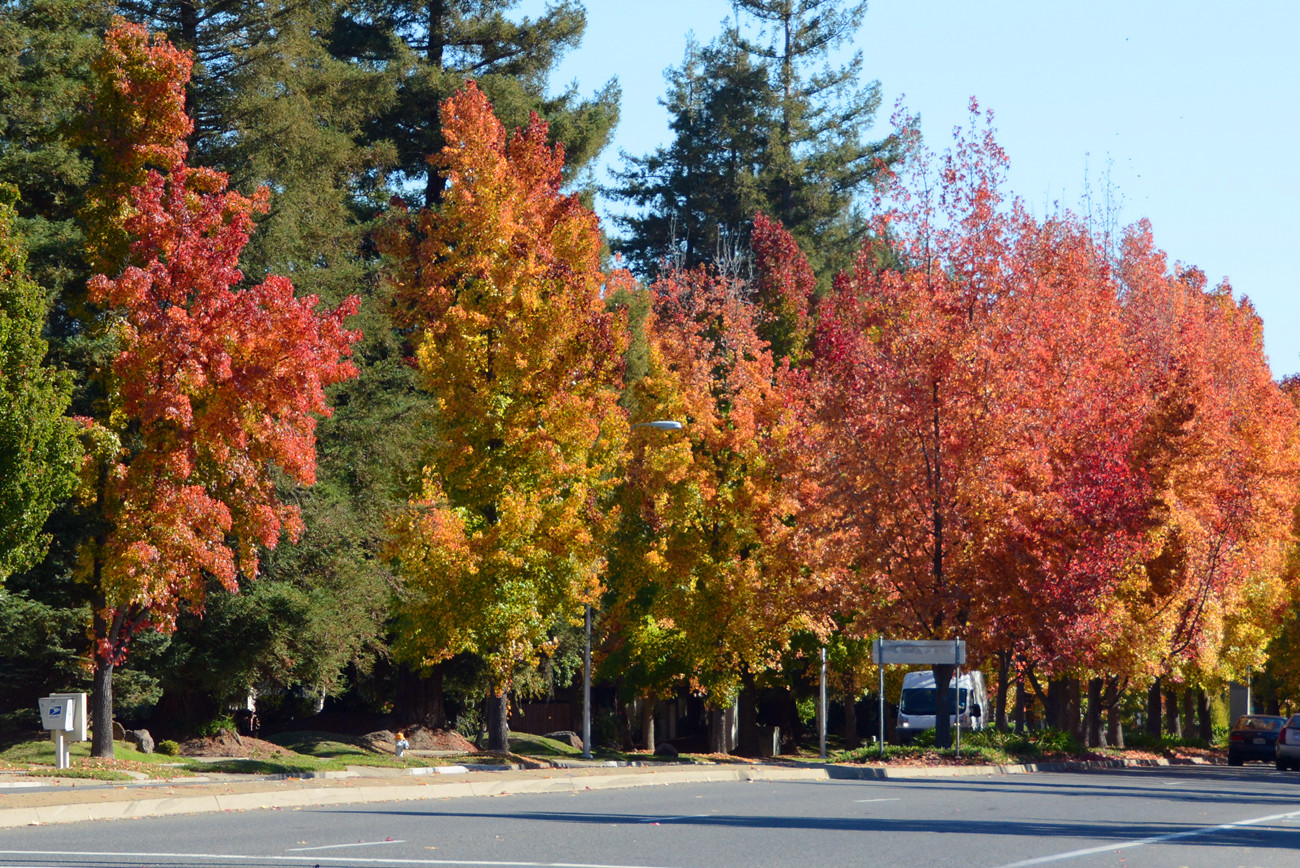 DSC_8725_28.jpg