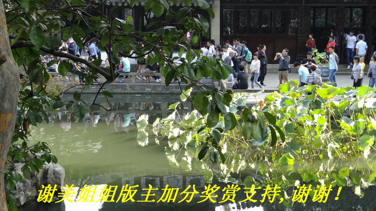 лӷֽ֧,лл.JPG