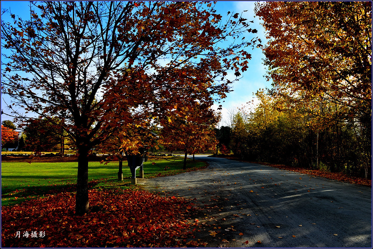 DSC_9719_.jpg