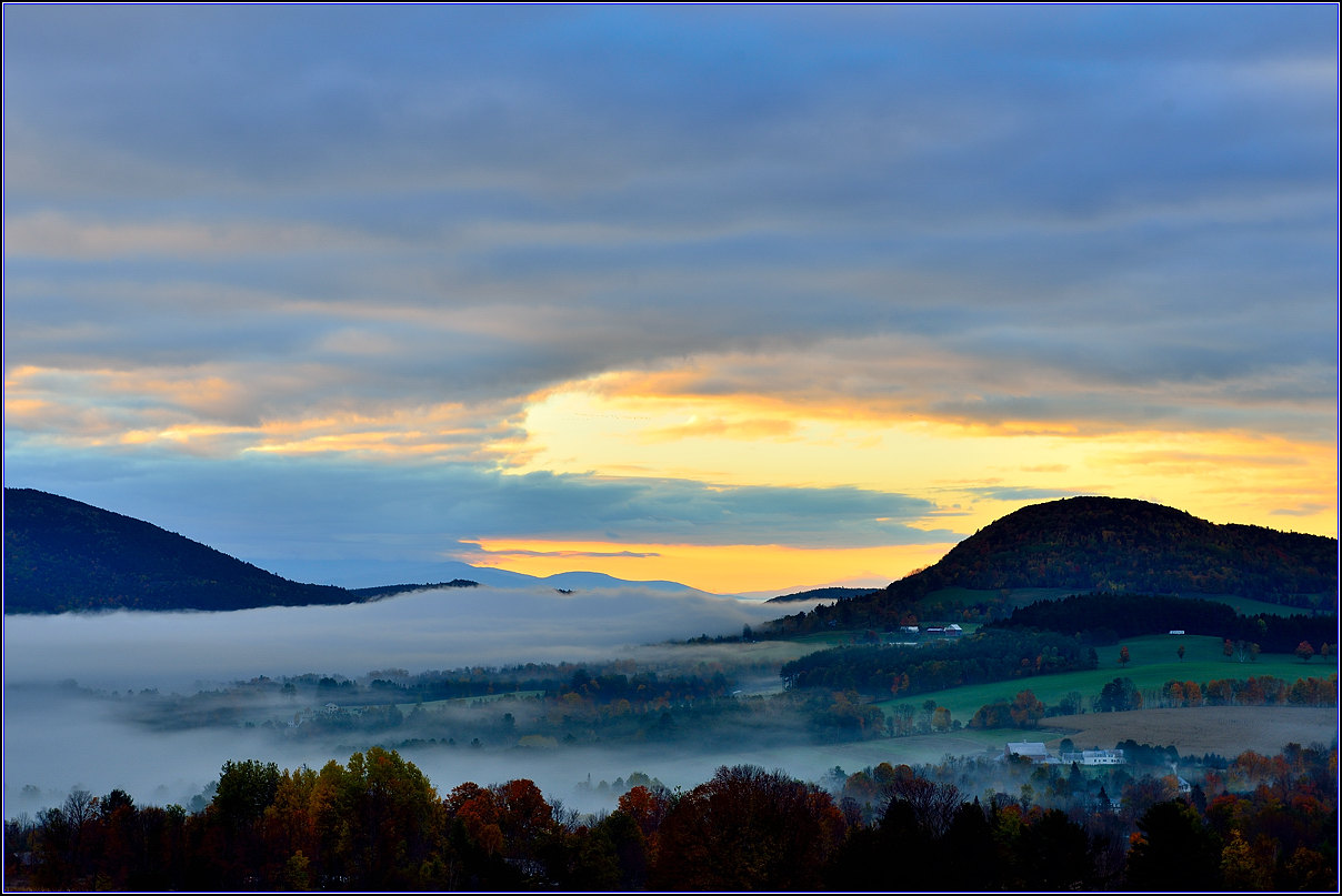 DSC_9014-1_.jpg