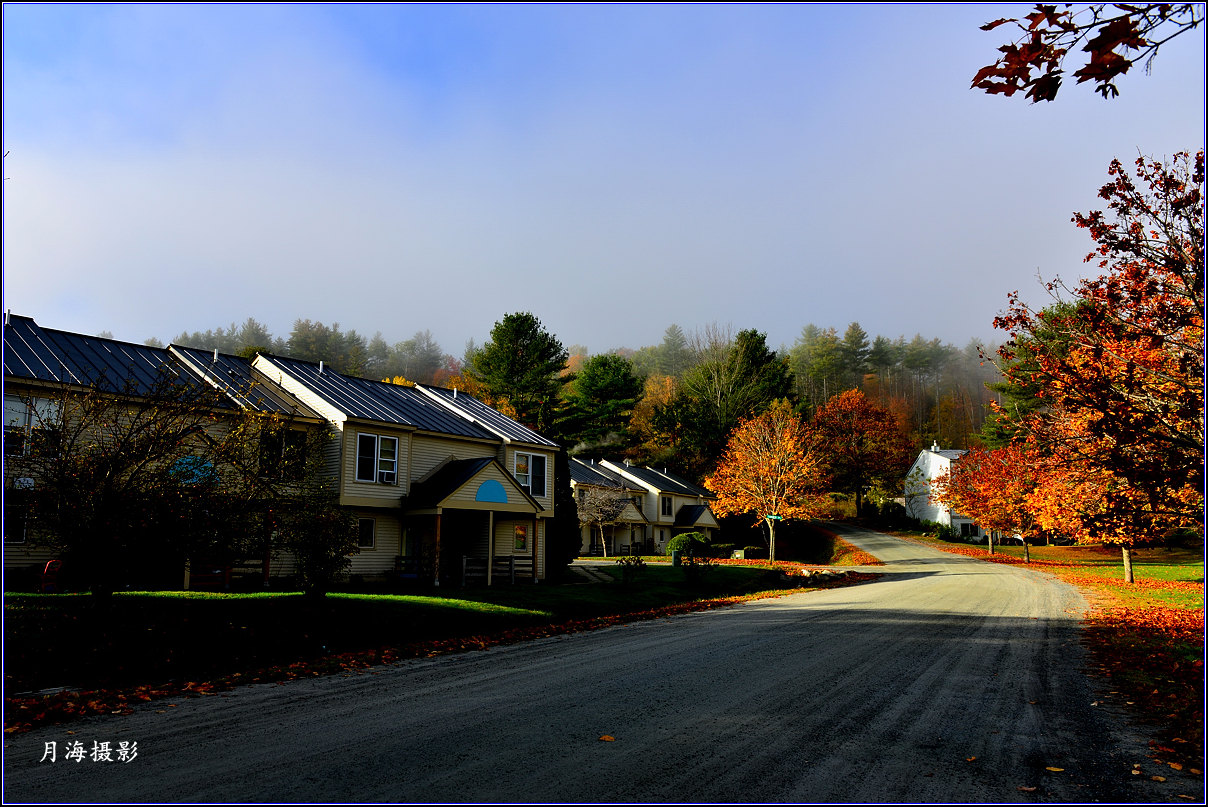 DSC_9711_.jpg