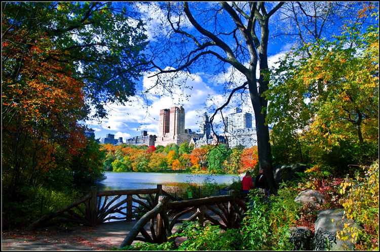 _DSC8460_.jpg