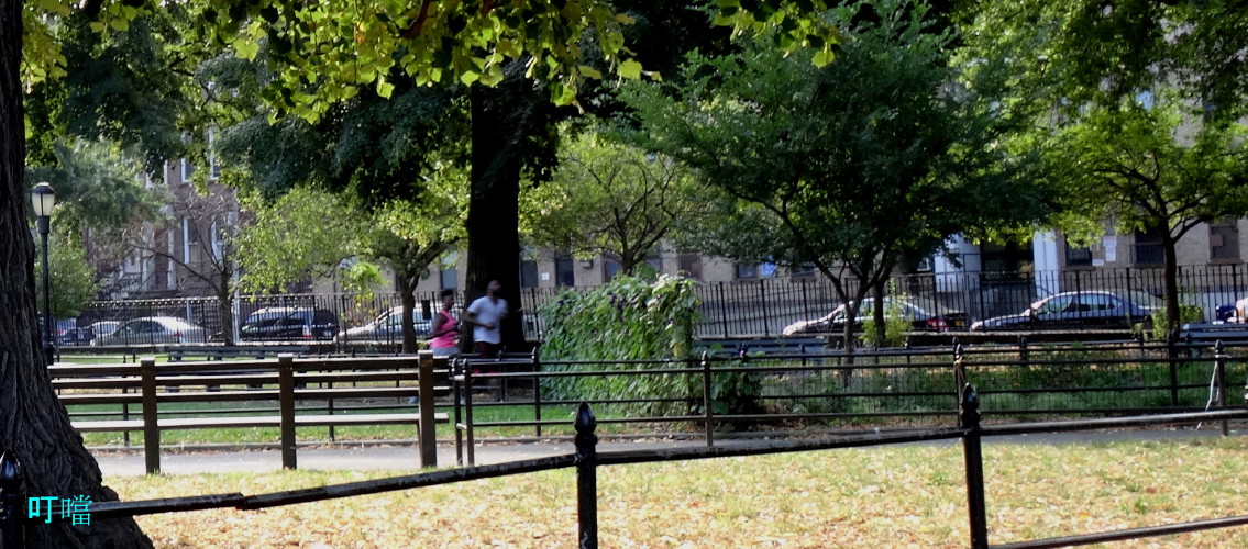 DSC03266k_1.jpg