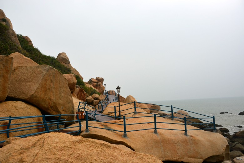 DSC_3469_conew1.jpg