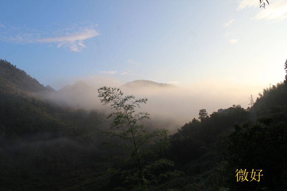 IMG_7368_.jpg