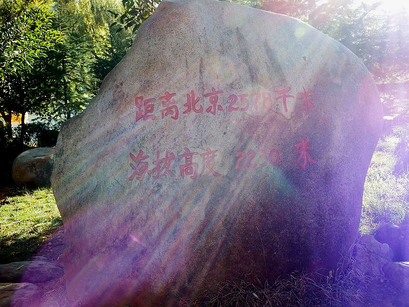 DSCF7968.jpg