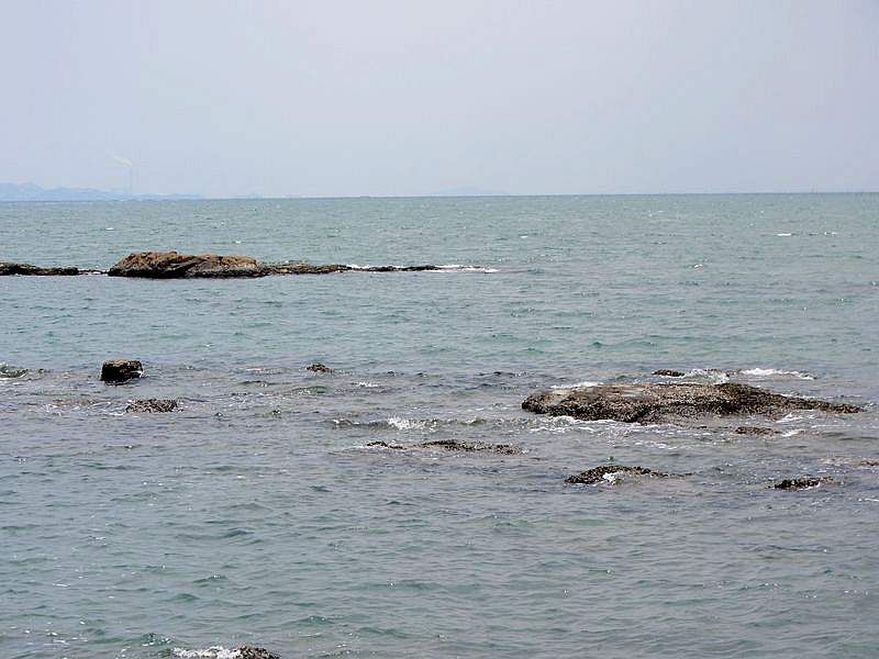 IMG_6328.jpg