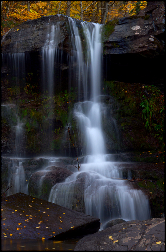 DSC_7650.jpg