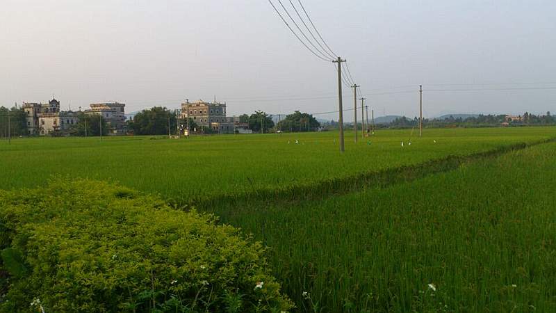 TMG_1076.jpg