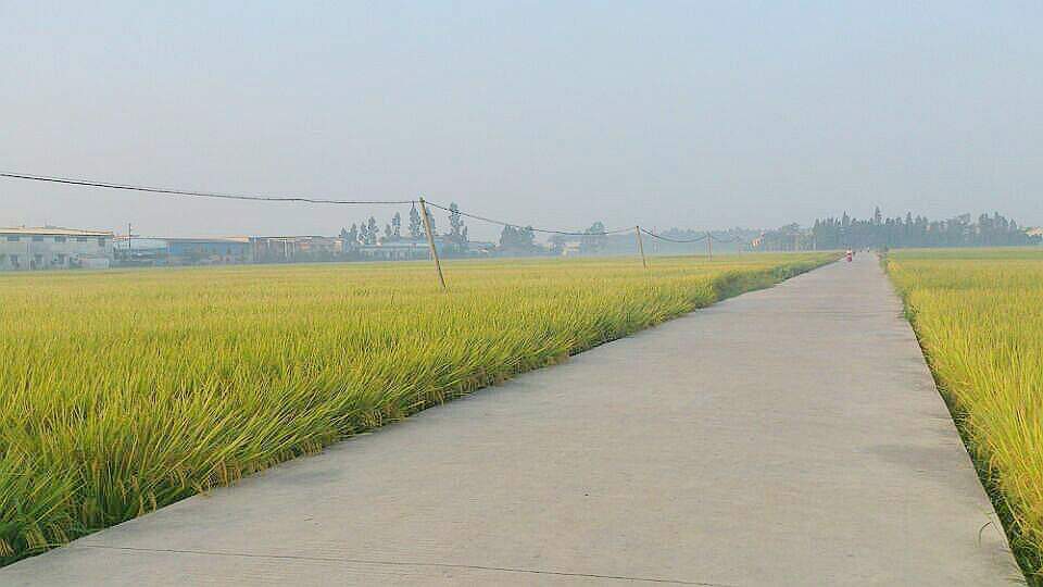 TPC_2400.jpg