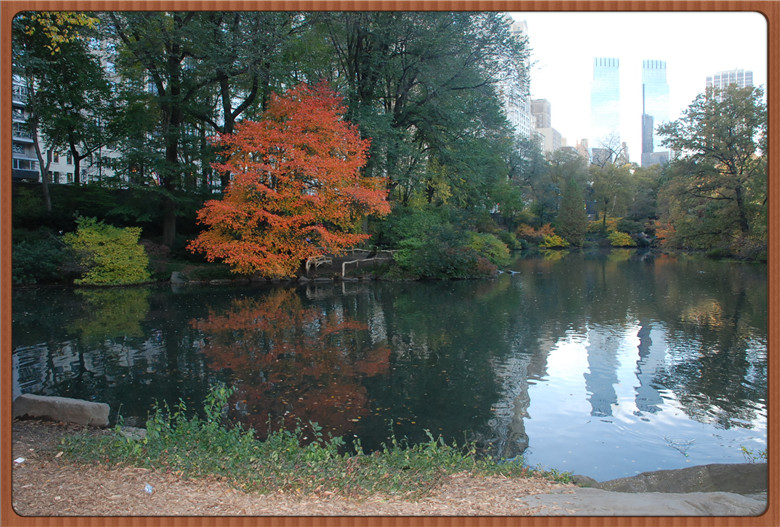 DSC_0030.jpg