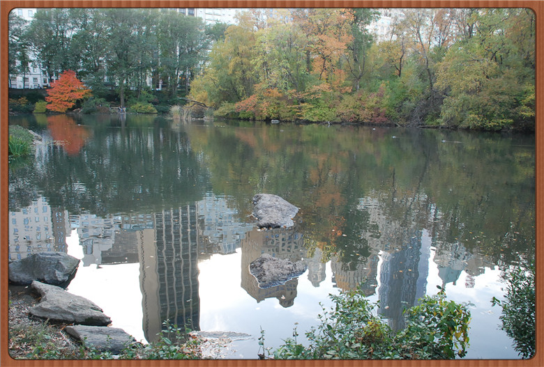 DSC_0094.jpg