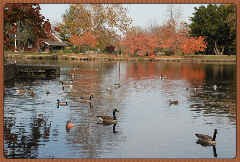 DSC_0137.jpg