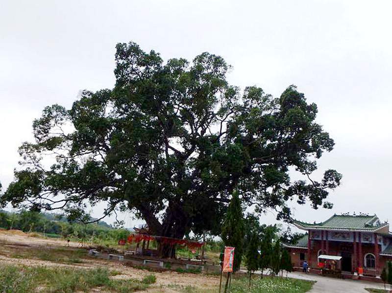 DSCF7540.jpg