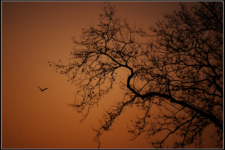 DSC_9199.JPG