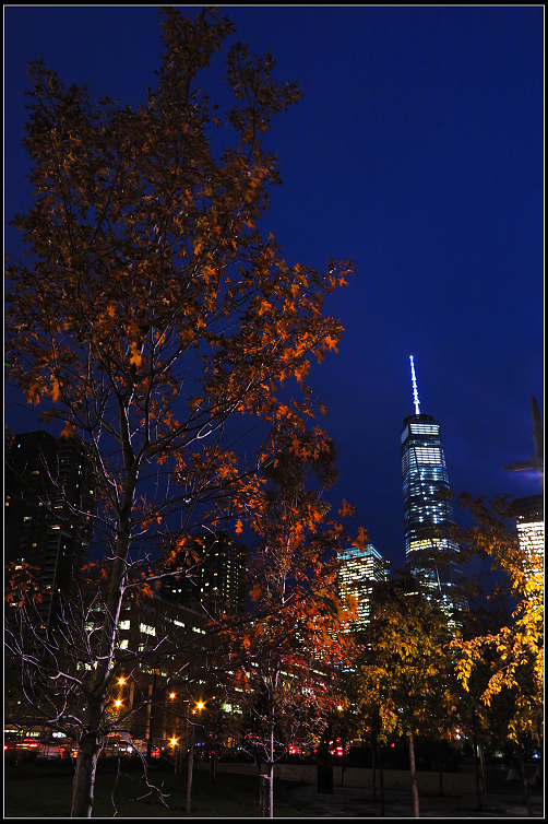IMG_9652.JPG