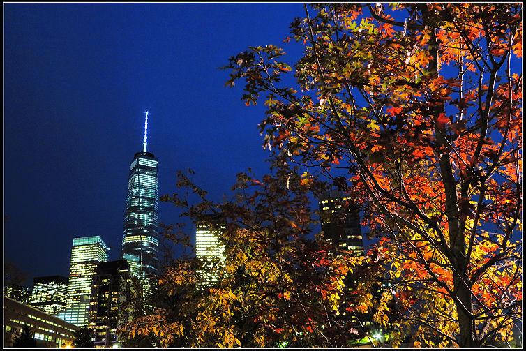 IMG_9646.JPG