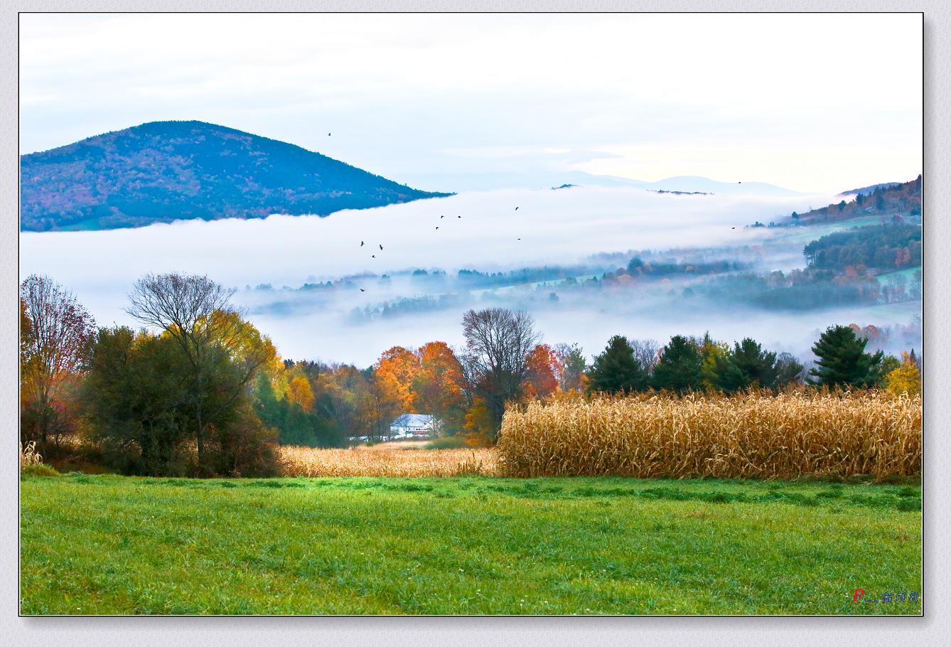 }u -10-11-2014ﾰ-4 530-3.jpg