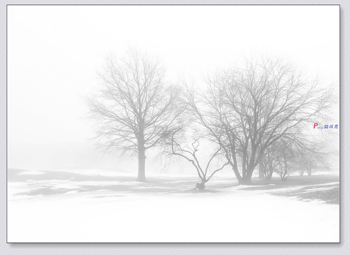 }u -11-2-13-F 087-3.jpg