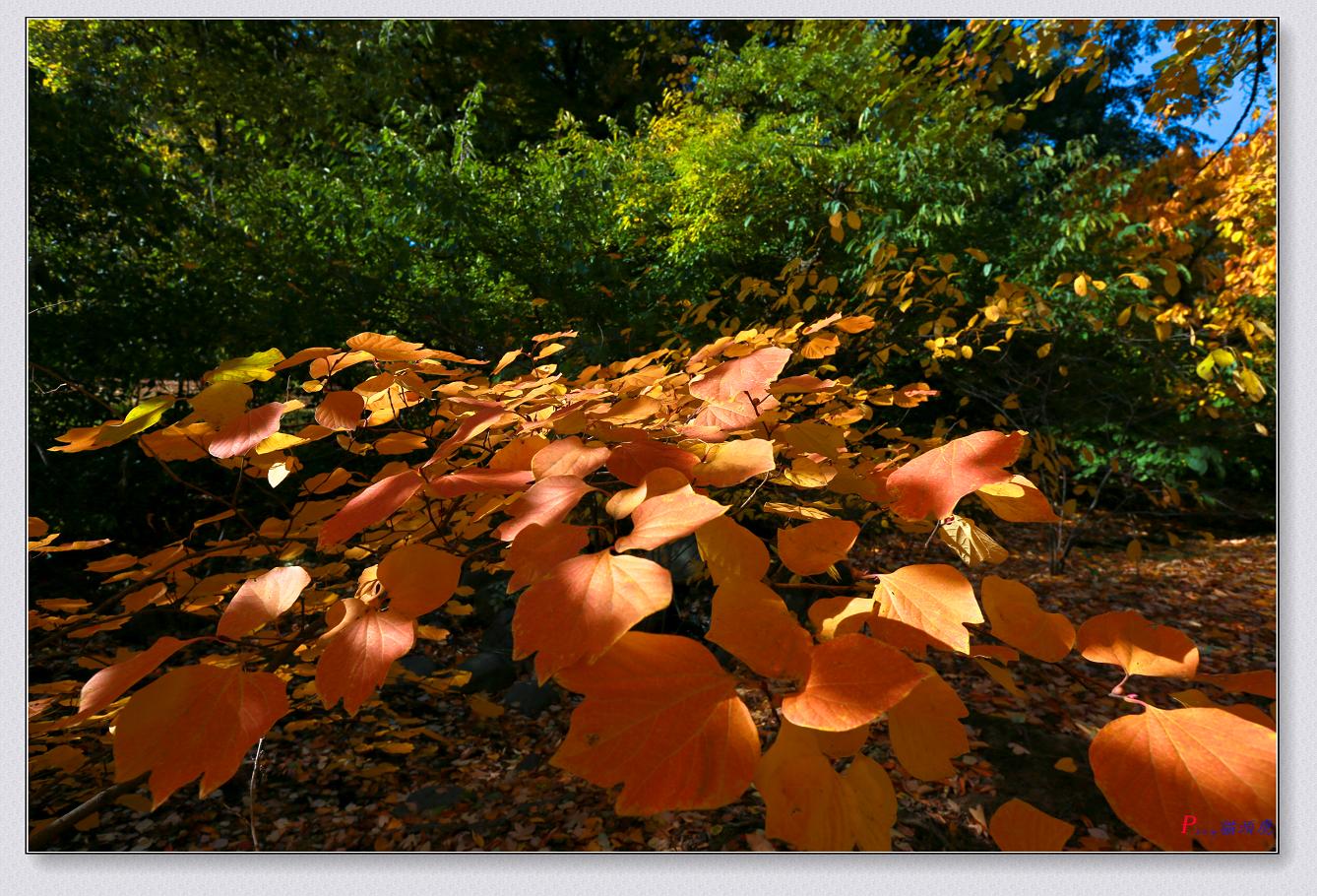 }u -11-8-2014ɫ-1 135-2.jpg