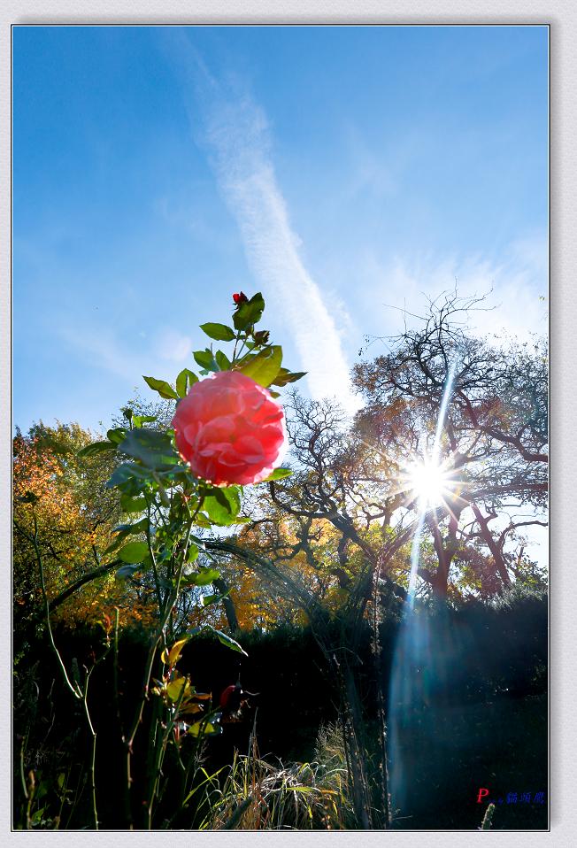}u -11-8-2014ɫ-1 067-2.jpg