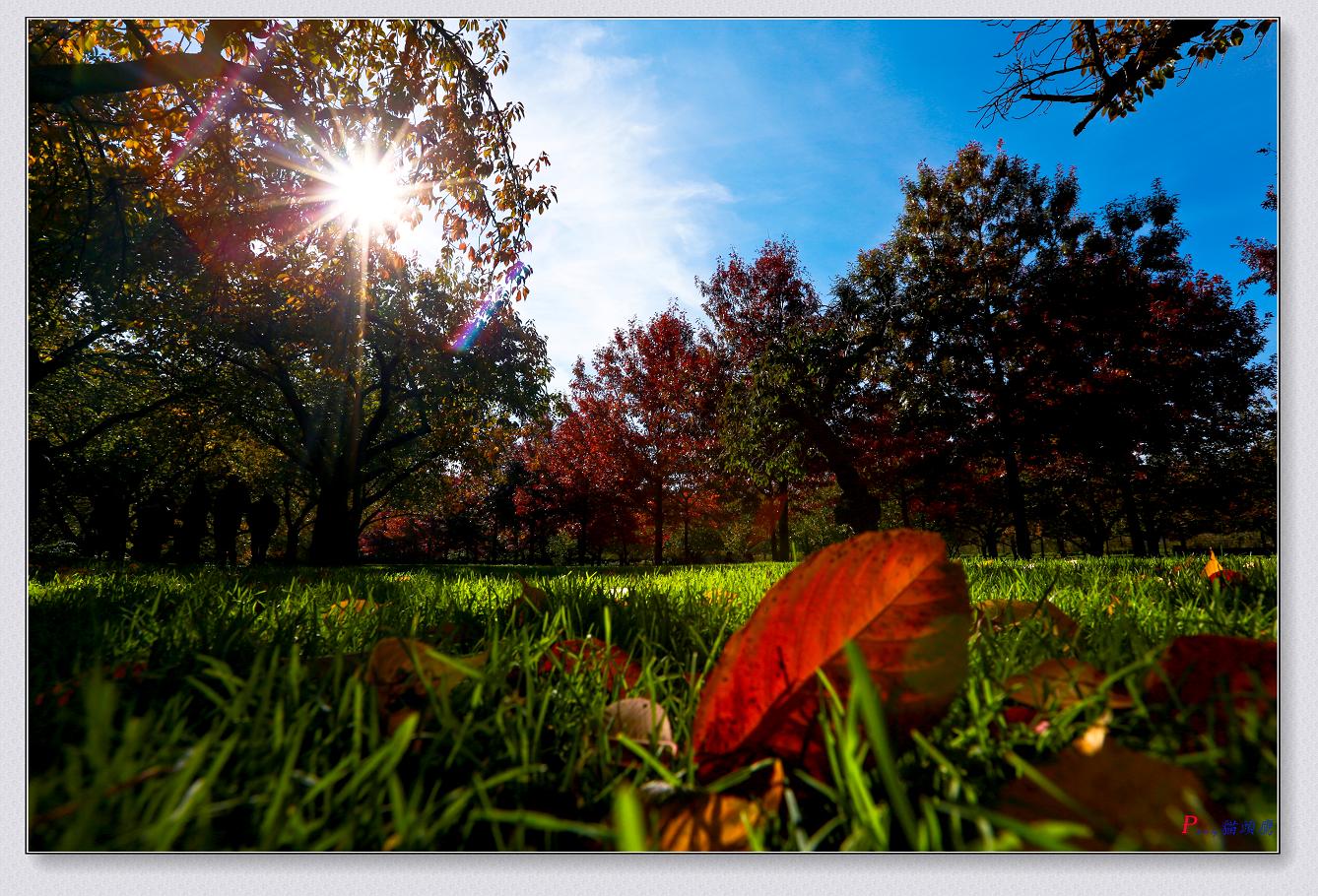 }u -11-8-2014ɫ-1 018-2.jpg