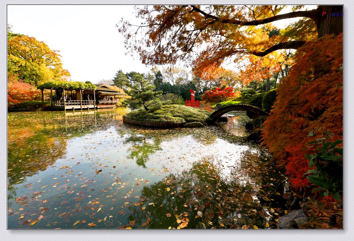 }u -11-8-2014ɫ-1 227-2.jpg
