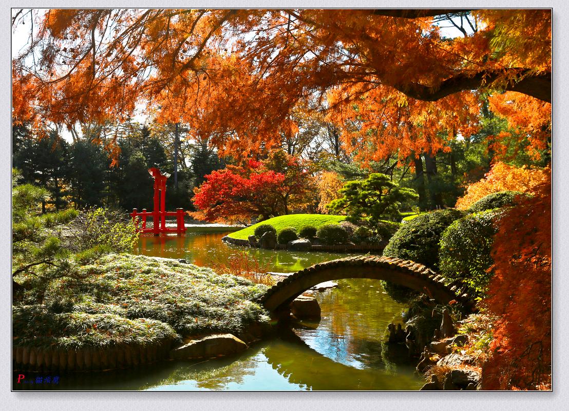 }u -11-15-2014ɫ-2 087-2.jpg