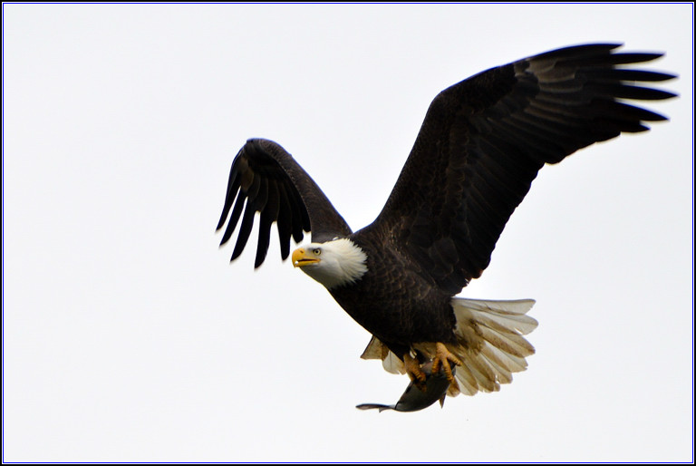 DSC_4338-2_.jpg