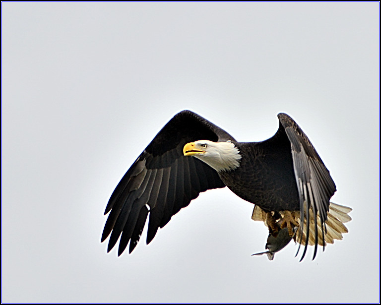 DSC_4339.jpg