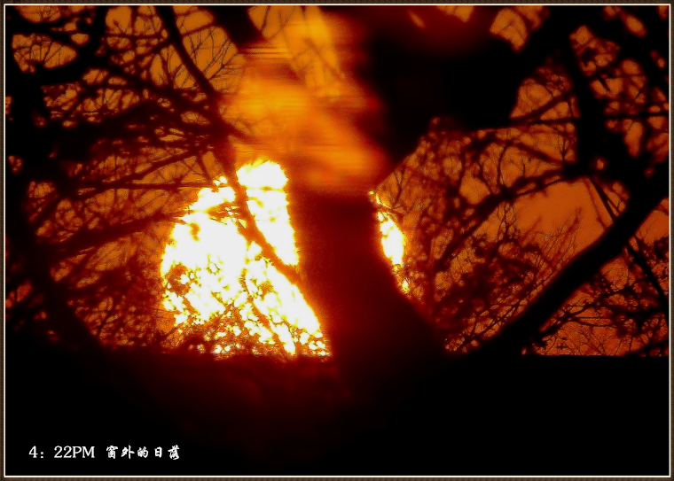 dsc00318_.jpg
