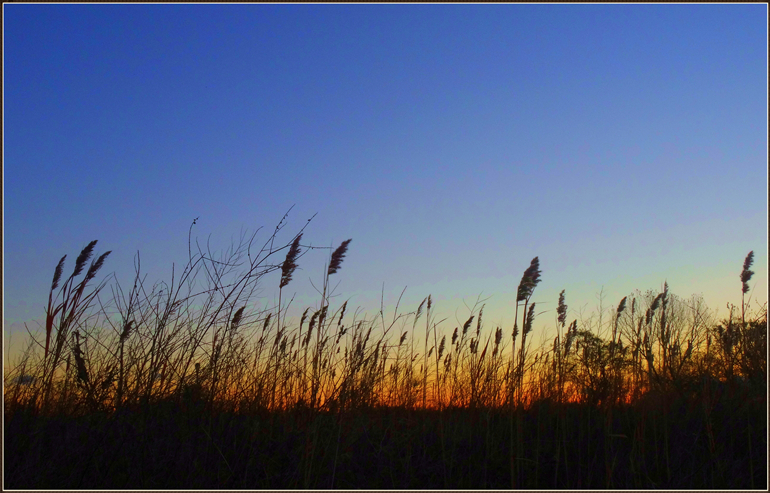 dsc00034_.jpg